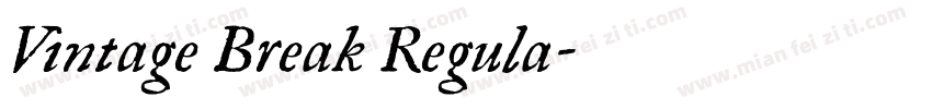 Vintage Break Regula字体转换